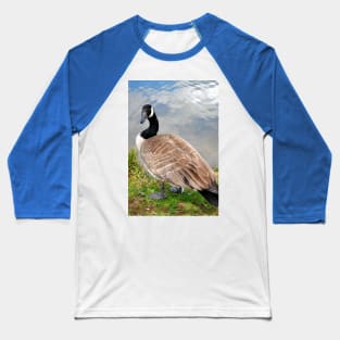 Canada Goose Canadian Geese Wild Bird Baseball T-Shirt